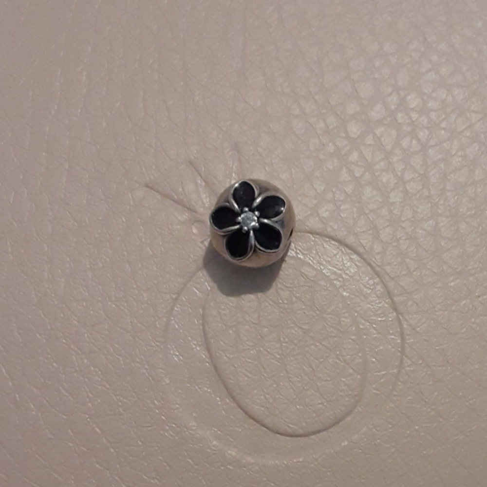 Authentic Pandora Charm! - Picture 6 of 6